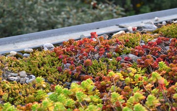 the cost of Caton green roof installation