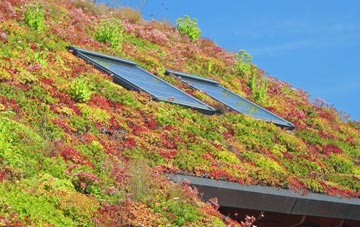 Caton living roof systems