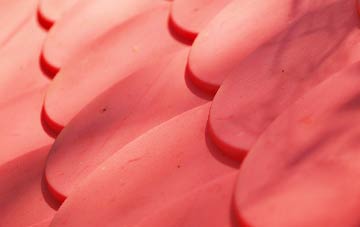 Caton plastic roof costs